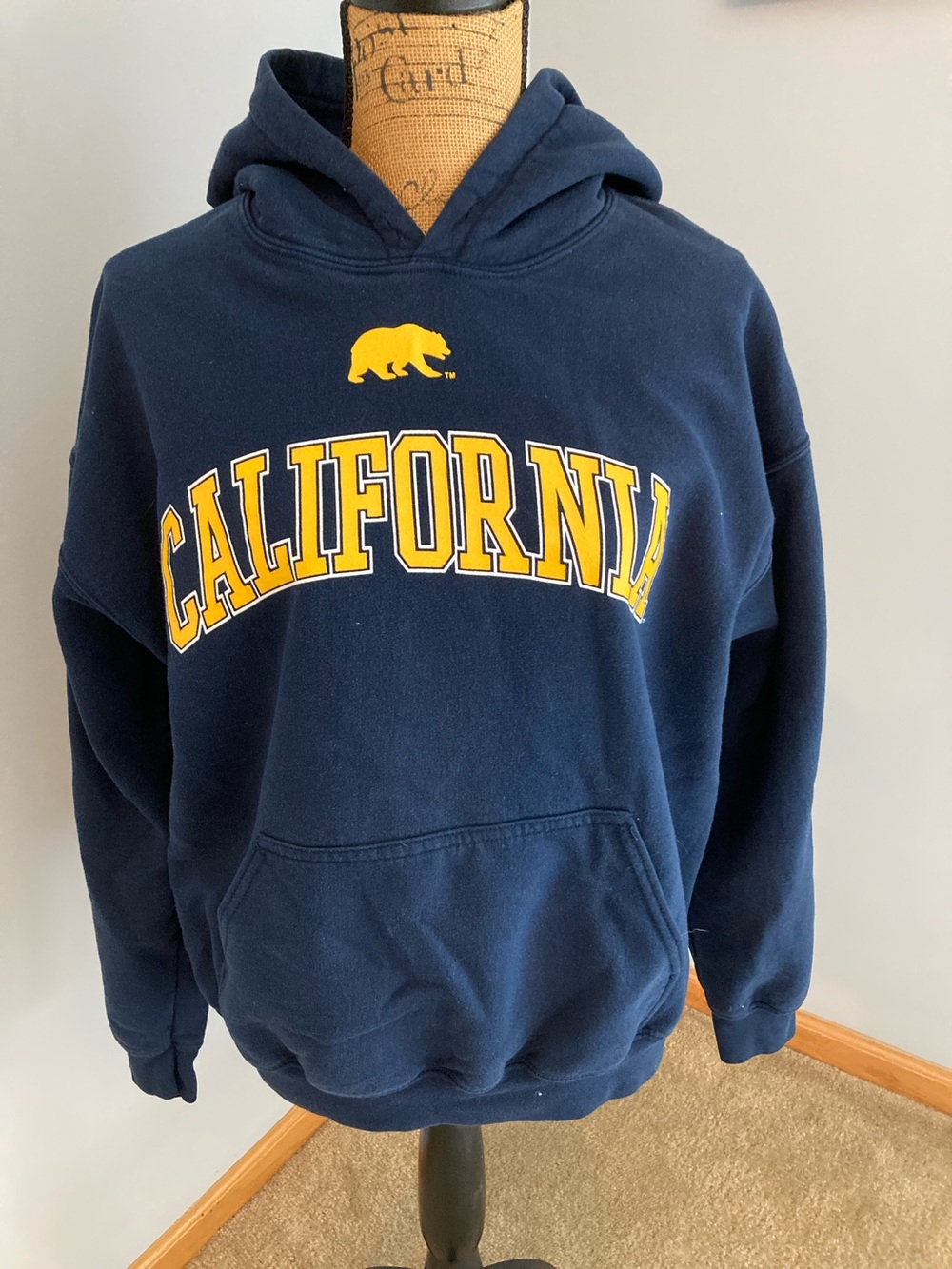 Gildan Navy Hoodie California Bears Men Size Large